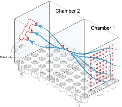 Microbial Flow Within an Air-Phyllosphere-Soil Continuum